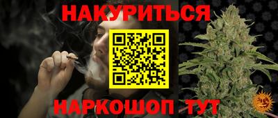 прущие грибы Бийск