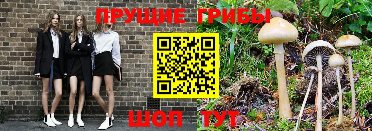 Псилоцибиновые грибы мухоморы Зеленодольск
