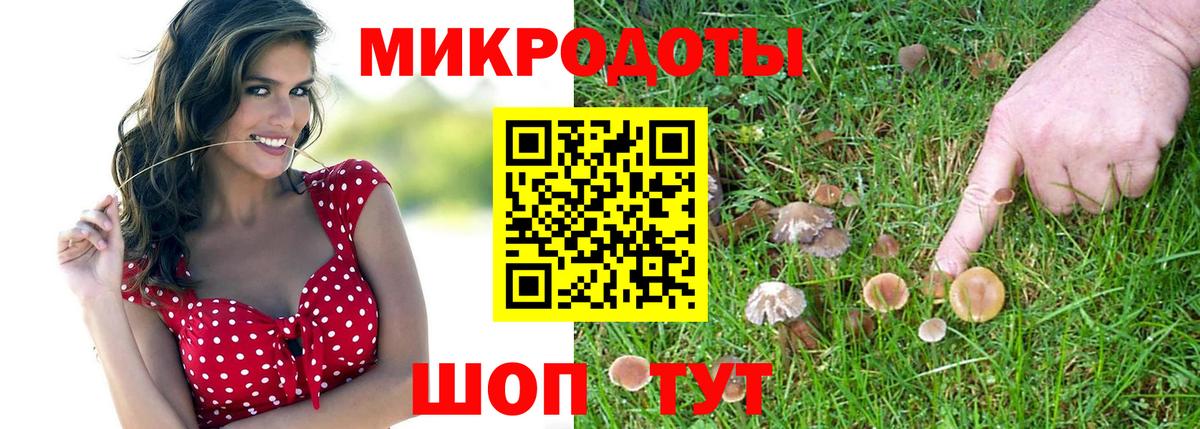 Зеленодольск  Псилоцибиновые грибы ЛСД  Вход с VPN 